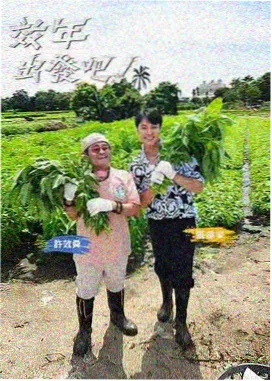 古堡书驿内的木质书架与长桌